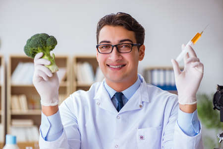 Scientist working on organic fruits and vegetablesの写真素材