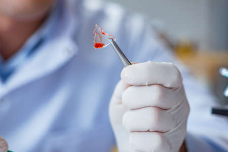 Young doctor working on blood test in lab hospitalの写真素材