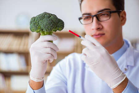 Scientist working on organic fruits and vegetablesの写真素材
