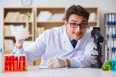 Biotechnology scientist working in the labの写真素材