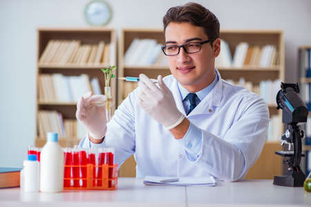 Biotechnology scientist working in the labの写真素材