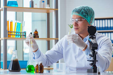 Biotechnology scientist working in the labの写真素材