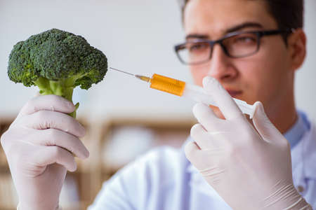Scientist working on organic fruits and vegetablesの写真素材