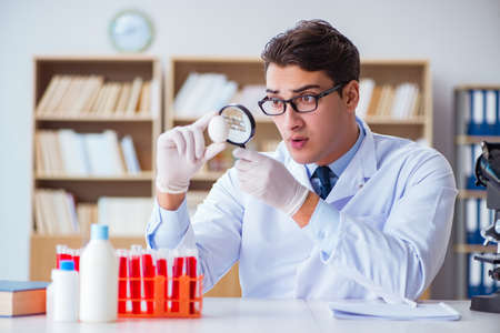 Scientist working on organic fruits and vegetablesの写真素材