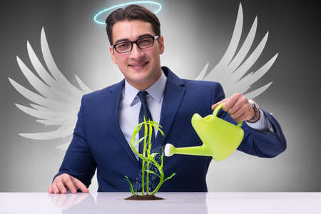 Businessman in angel investor concept growing future profitsの写真素材