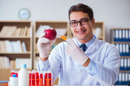 Scientist working on organic fruits and vegetablesの写真素材