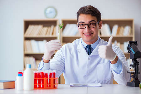 Biotechnology scientist working in the labの写真素材