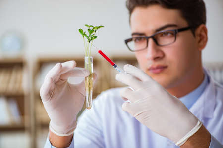 Biotechnology scientist working in the labの写真素材