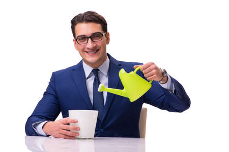 Businessman with watering can isolated on whiteの写真素材