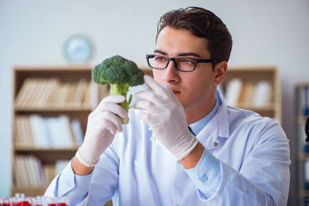 Scientist working on organic fruits and vegetablesの写真素材