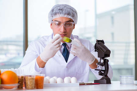 Nutrition expert testing food products in labの写真素材