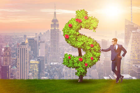 Man in sustainable investment conceptの写真素材