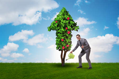 Businessman in sustainable green development conceptの写真素材