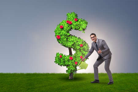 Man in sustainable investment conceptの写真素材