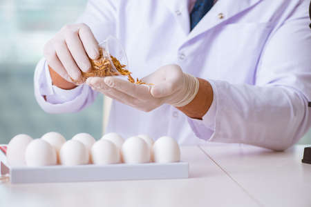 Nutrition expert testing food products in labの写真素材