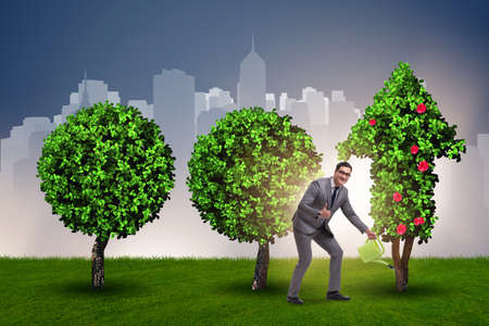 Businessman in sustainable green development conceptの写真素材