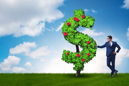 Man in sustainable investment conceptの写真素材