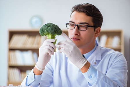 Scientist working on organic fruits and vegetablesの写真素材