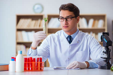 Biotechnology scientist working in the labの写真素材