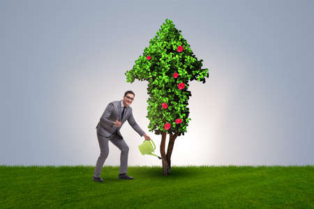 Businessman in sustainable green development conceptの写真素材