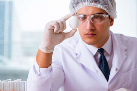 Nutrition expert testing food products in labの写真素材