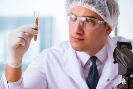 Nutrition expert testing food products in labの写真素材