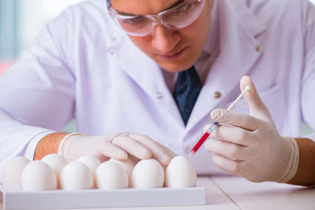 Nutrition expert testing food products in labの写真素材