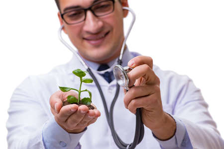 Scientist with green seedling in glass isolated on whiteの写真素材