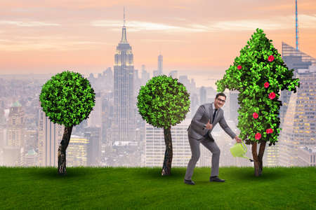 Businessman in sustainable green development conceptの写真素材