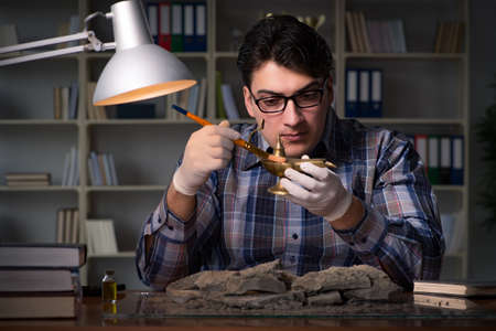 Archeologist working late night in office