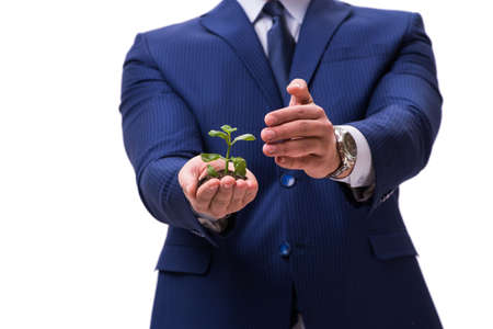 Businessman holding green sprouts isolated on whiteの写真素材