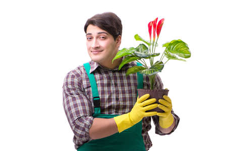 Young man gardener isolated on whiteの写真素材