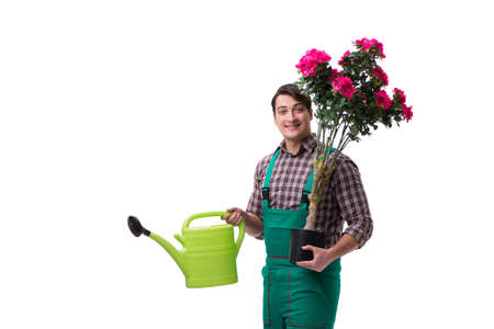 Young man gardener isolated on whiteの写真素材