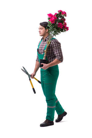 Young man gardener isolated on whiteの写真素材