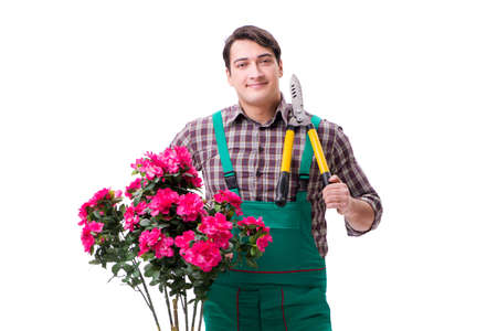 Young man gardener isolated on whiteの写真素材