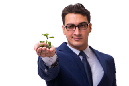Businessman holding green sprouts isolated on whiteの写真素材
