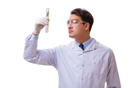 Scientist with green seedling in glass isolated on whiteの写真素材