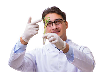 Scientist with green seedling in glass isolated on whiteの写真素材