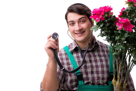 Young man gardener isolated on whiteの写真素材