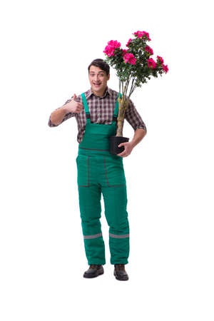 Young man gardener isolated on whiteの写真素材