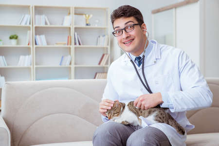 Cat visiting vet for regular checkupの写真素材