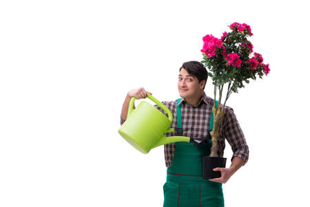 Young man gardener isolated on whiteの写真素材