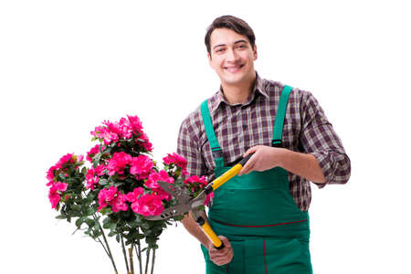 Young man gardener isolated on whiteの写真素材