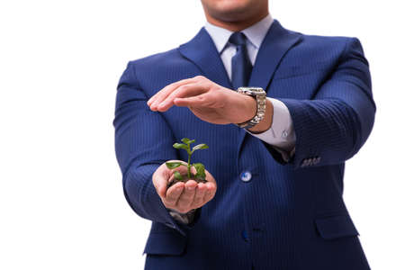 Businessman holding green sprouts isolated on whiteの写真素材