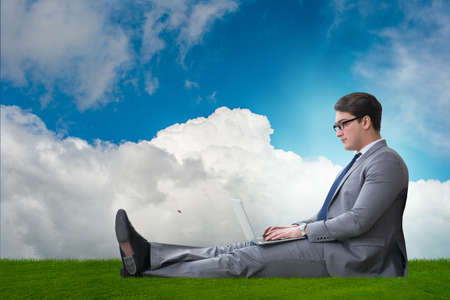 Teleworking concept with businessman working on grassの写真素材