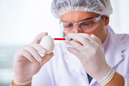 Nutrition expert testing food products in labの写真素材