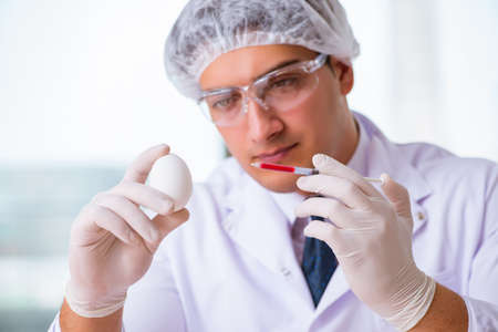 Nutrition expert testing food products in labの写真素材