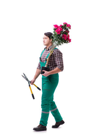 Young man gardener isolated on whiteの写真素材