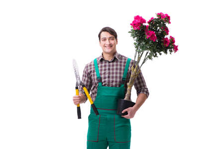 Young man gardener isolated on whiteの写真素材