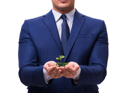 Businessman holding green sprouts isolated on whiteの写真素材